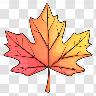 Autumn Maple Leaf - Colorful Gradient Maple Leaf Illustration Transparent PNG