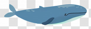 Blue Whale - Blue Whale Transparent PNG