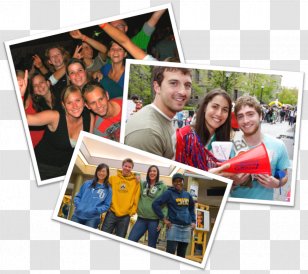 Student College And University Rankings Campus - Collage Transparent PNG
