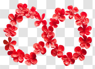 Infinity Symbol - Infinity Symbol With Red Floral Design Transparent PNG