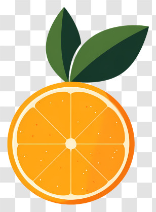 Fresh Fruit Logo - Bright Orange Slice Illustration Transparent PNG