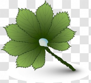 ç¶²æ˜“å¾®åš Sina Weibo Leaf - Grass - Tree Transparent PNG