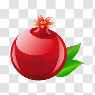 Clip Art Pomegranate Fruit Vector Graphics Hindi - Urdu - Red Button Transparent PNG