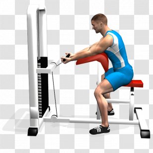 Bench Biceps Curl Panca Scott Shoulder - Cartoon - Bodybuilding Transparent PNG