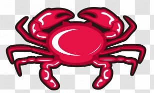 Crab Illustration - Cartoon - Hand-painted Small Crabs Transparent PNG