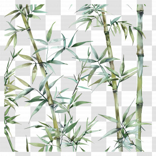 Bamboo Plants Illustration - Natural Bamboo Plants Illustration Transparent PNG