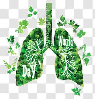 World Asthma Day - Green Lungs Illustration For World Day Transparent PNG