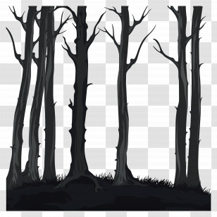 Forest - Dark Trees In Forest Transparent PNG