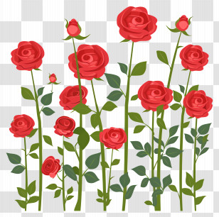 Rose Garden - Beautiful Red Rose Illustration Transparent PNG