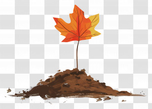 Autumn Leaf On Soil - Leaf Growing In Soil Transparent PNG