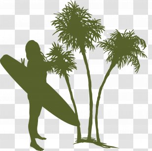 Euclidean Vector Tree Coconut - Branch - Woman Surfboard Summer Material Transparent PNG