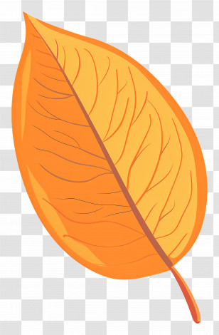 Single Leaf - Orange Autumn Leaf Illustration Transparent PNG