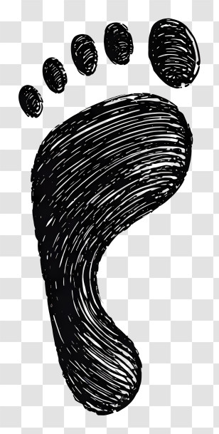 Footprint Outline - Footprint Sketch Transparent PNG