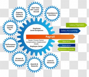 Payroll Employee Benefits Management Outsourcing Business - Core Transparent PNG