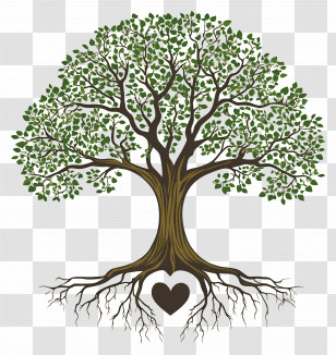 Oak Tree With Roots - Tree With Heart Roots Transparent PNG