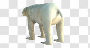 Polar Bear Indian Elephant Low Poly 3D Computer Graphics Transparent PNG
