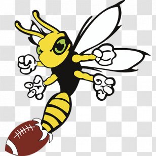 Honey Bee Hornet Wasp Drawing - Pest Transparent PNG
