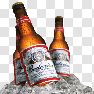 Beer - Budweiser Beer Bottles Chilled In Ice Transparent PNG