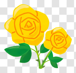 Flower - Yellow Roses In Bloom Transparent PNG