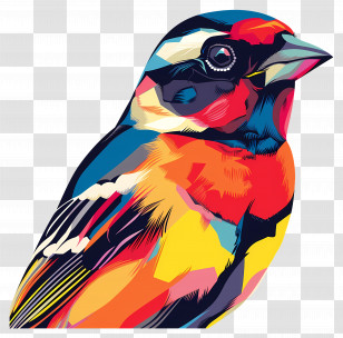 Bird - Colorful Bird Illustration Transparent PNG