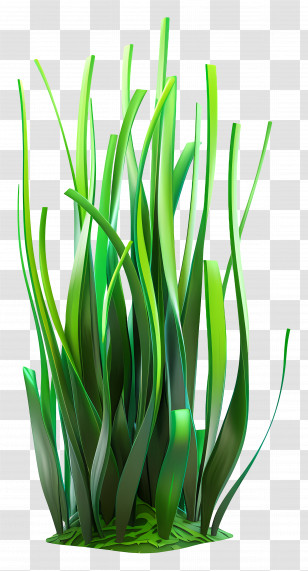 Grass Plant - Stylized Grass Art Transparent PNG