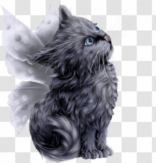 Persian Cat Kitten Empire - Painted Angel Transparent PNG