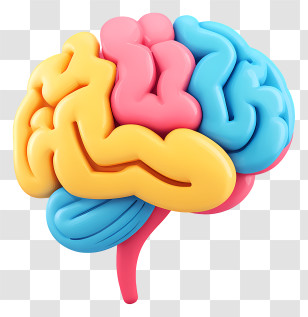 Cartoony Brain - Brain Cartoon Illustration For Education Concept Transparent PNG