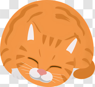 Cat - Sleeping Orange Cat In Cartoon Style Transparent PNG