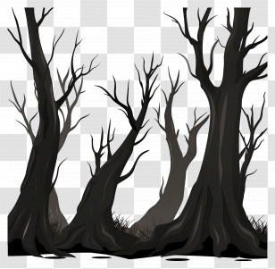 Forest - Spooky Trees In A Dark Forest Setting Transparent PNG