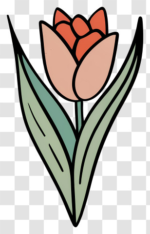 Red Tulip - Hand-drawn Tulip Illustration Transparent PNG