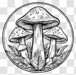 Mushroom Coloring Page - Artistic Black And White Mushrooms With Foliage Transparent PNG