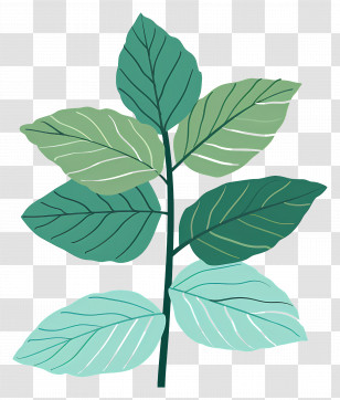 Leaf Mint - Stylized Green Leaves Illustration Transparent PNG