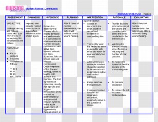 Nursing Interventions Classification Nursing Care Plan Nursing ...