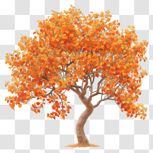 Architecture Tree - Beautiful Autumn Tree With Vibrant Orange Leaves Transparent PNG