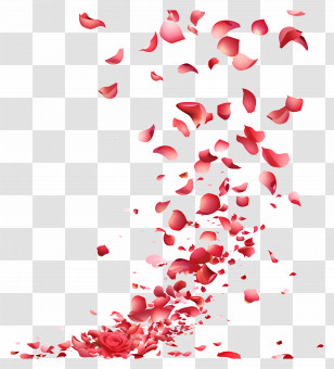 Falling Flowers - Falling Red Rose Petals For Romantic Ambiance Transparent PNG