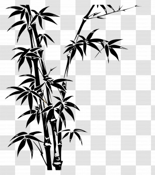 Bamboo - Black Bamboo Silhouette Illustration Transparent PNG