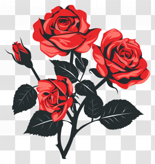 Roses Garden - Elegant Red Rose Bouquet Illustration Transparent PNG