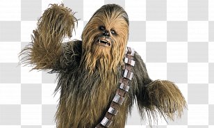 Chewbacca Star Wars Day Wookiee Luke Skywalker - Paper Cylinder Columns Transparent PNG