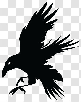 Ravens Logo - Flying Raven Silhouette Illustration Transparent PNG