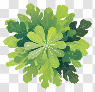 Tree Top View - Lush Green Leaf Plant Illustration In Detailed Style Transparent PNG