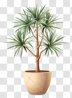 Yucca - Potted Spiky-Leaf Plant For Decoration Transparent PNG