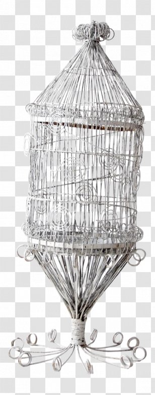 Birdcage Domestic Canary Aviary - Antique - Bird Transparent PNG