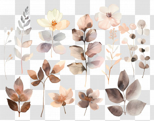 Dried Flowers - Soft Watercolor Flowers And Leaves Transparent PNG