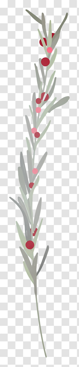 Flowering Plant - Branch With Red Berries Transparent PNG