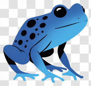 Poison Dart Frog - Blue Poison Dart Frog Illustration Transparent PNG