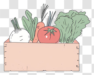 Vegetable Box - Fresh Vegetable Box Transparent PNG