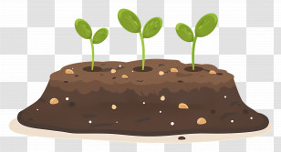 Dirt Ground - Sprouts Growing In Soil Transparent PNG