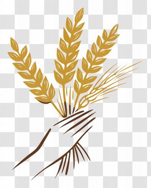 Sheaf Of Grain - Golden Wheat Stalks Vector Illustration Transparent PNG