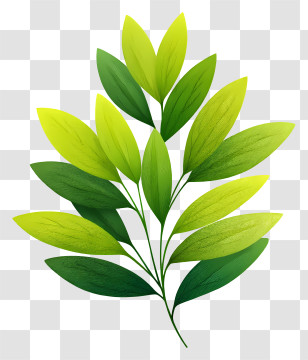 Watercolor Green Leaf - Lush Green Leaves Transparent PNG