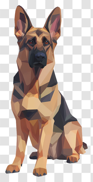German Shepherd Dog - German Shepherd Dog Illustration Transparent PNG